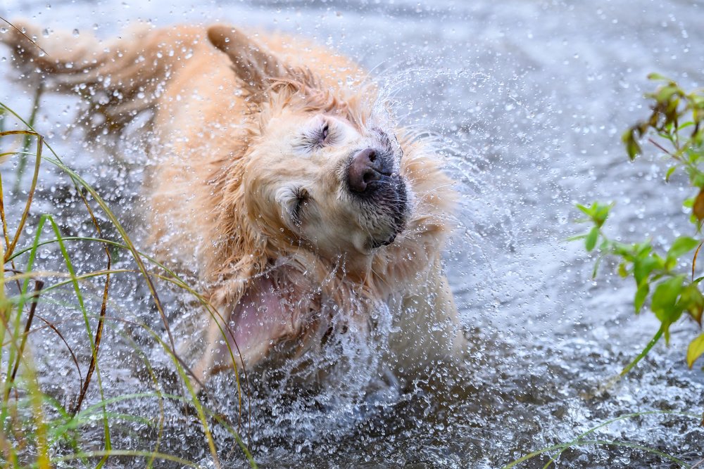 Photograph by Мария Новоселецкая