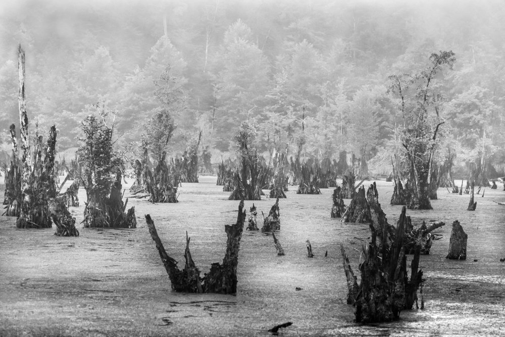 Photograph by mitra hosseini