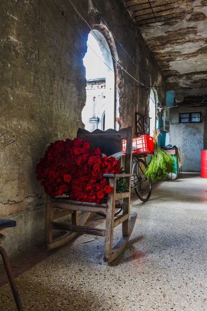 Photograph by Jermaine Headley