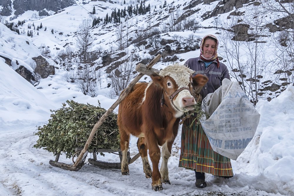 Kırsal Kesimde Yaşam.