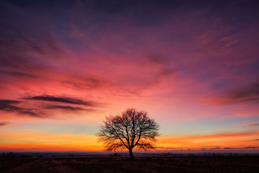 Photograph by Ignacio Municio