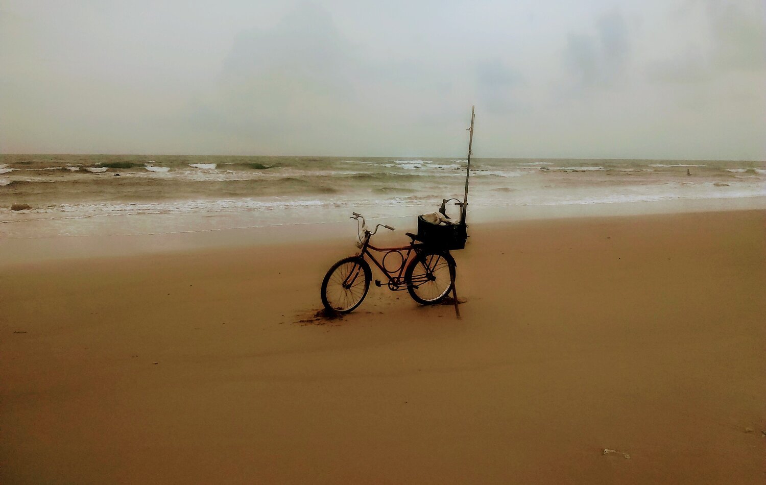 The Bike