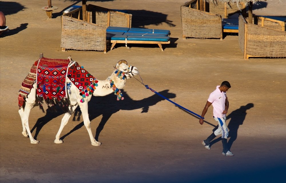 Photograph by Максим Кичкайло