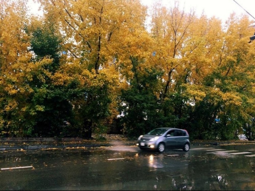 Photograph by Kara Enkhtuya