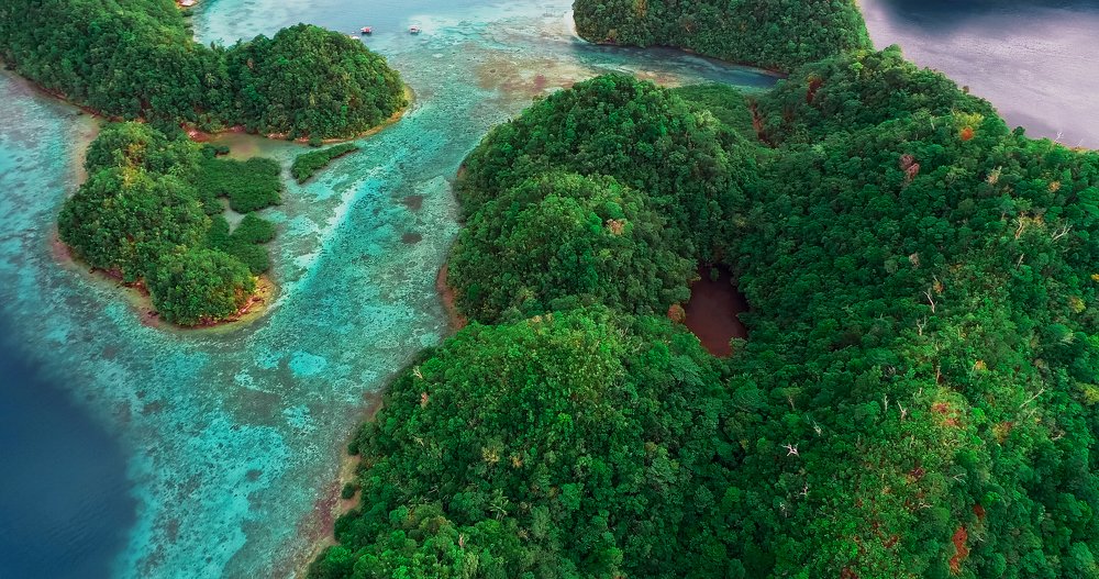 Photograph by Максим Хмарский