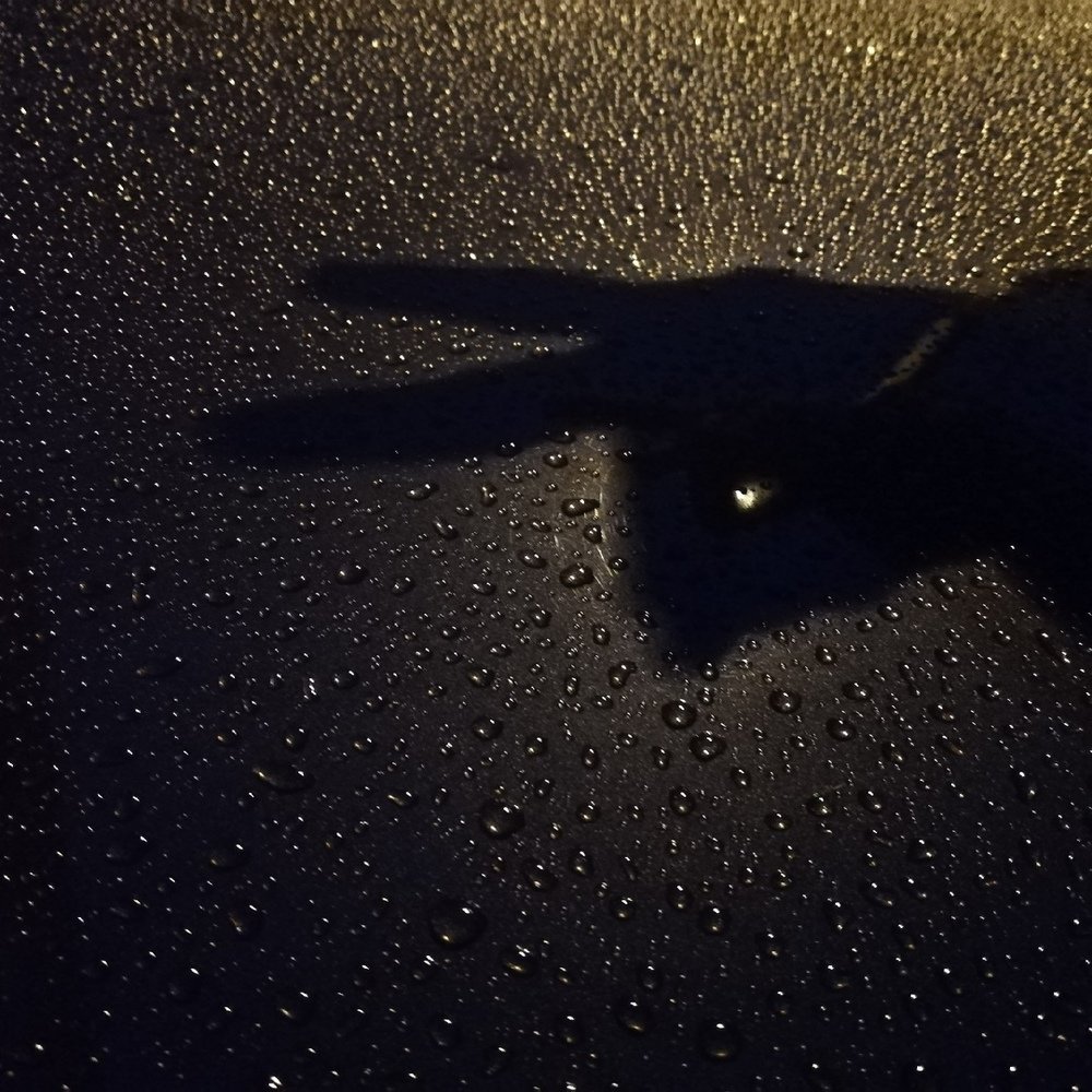 Photograph by Валерия Козловская