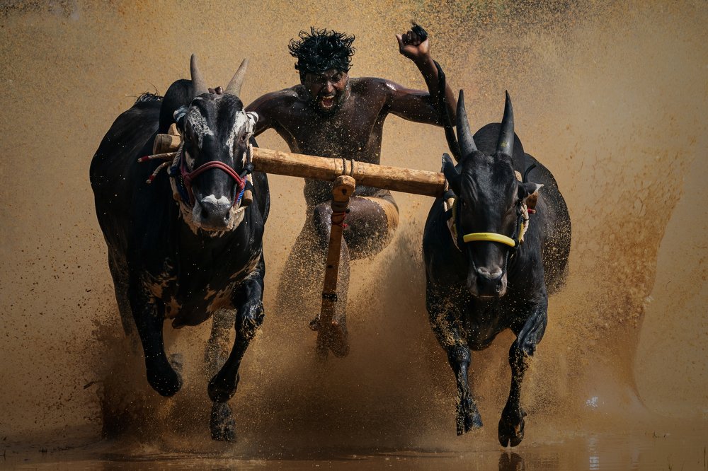 Photograph by Arjun Kavil