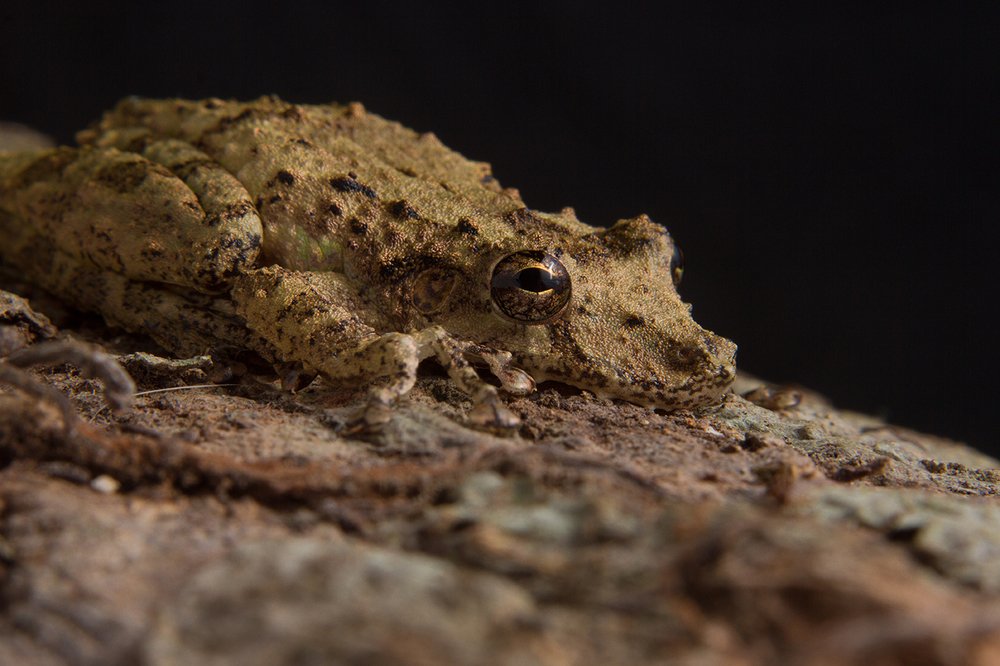 Photograph by Azaria Ruiz Villalobos