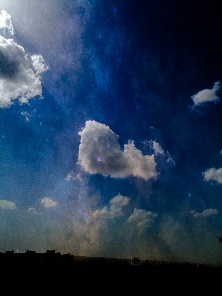 Photo #4434264