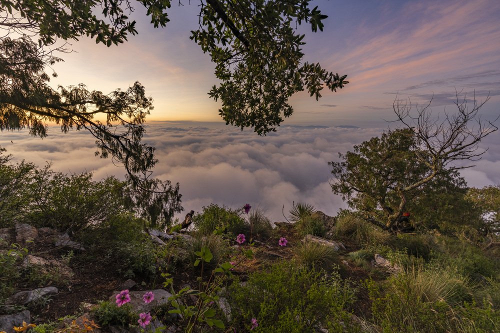 Photograph by Eduardo Esses