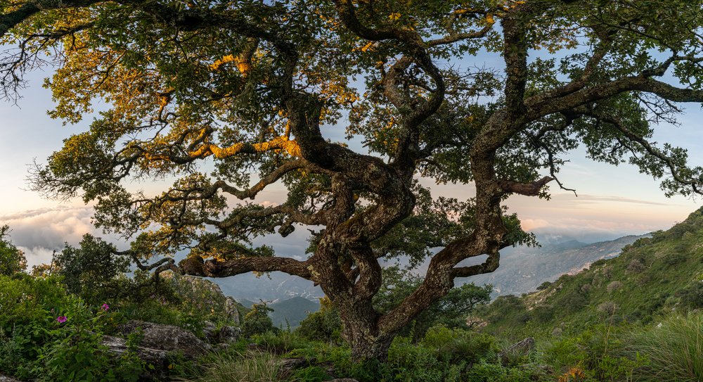 Photograph by Eduardo Esses