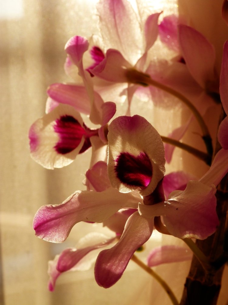 Photograph by Zulma Elizabeth Bernal