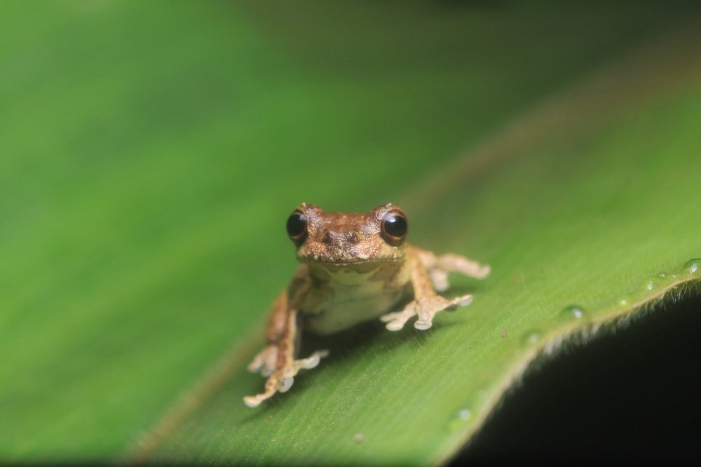 Photograph by Heiler