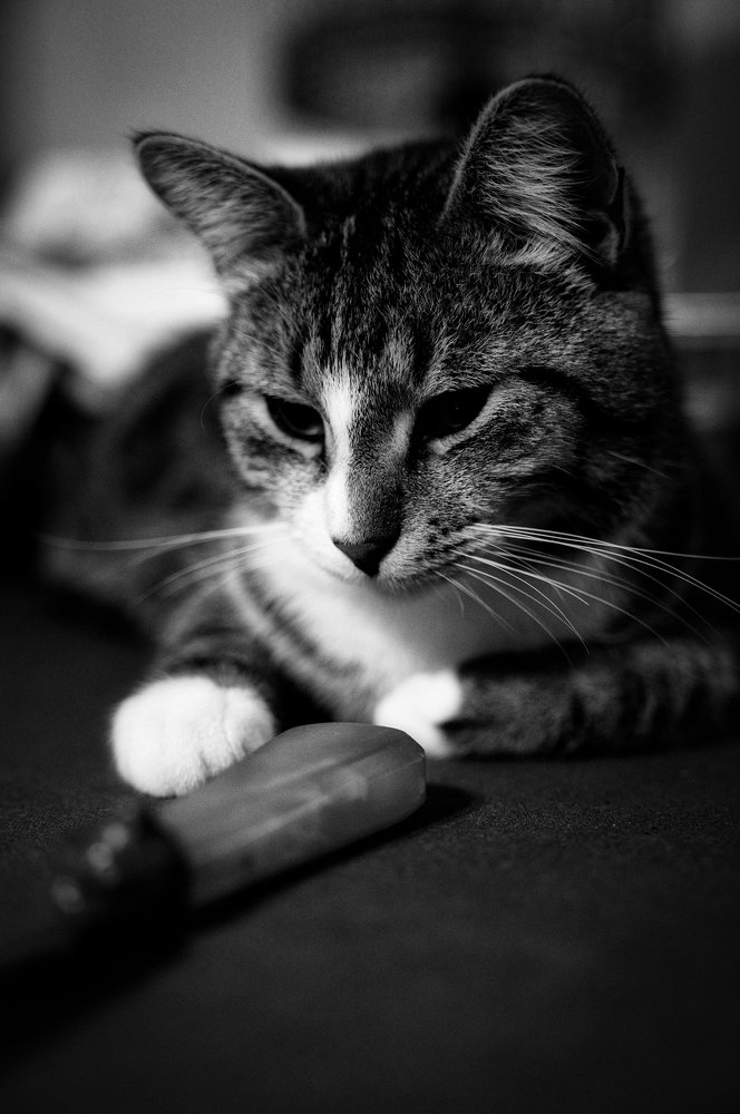 Photograph by Тимофей Забугин