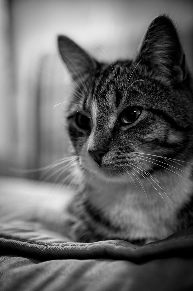 Photograph by Тимофей Забугин