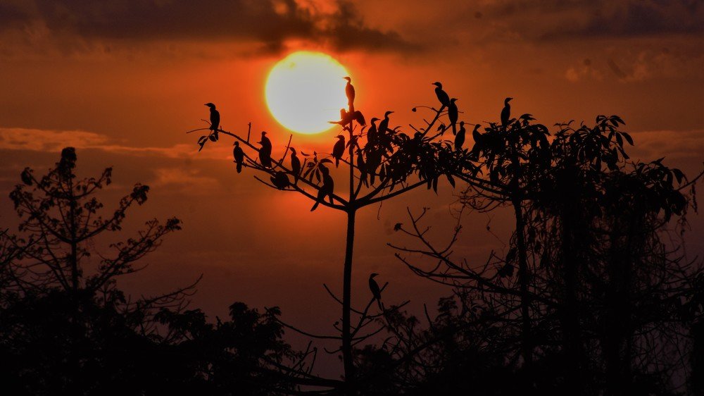 Photograph by Jemni Perme