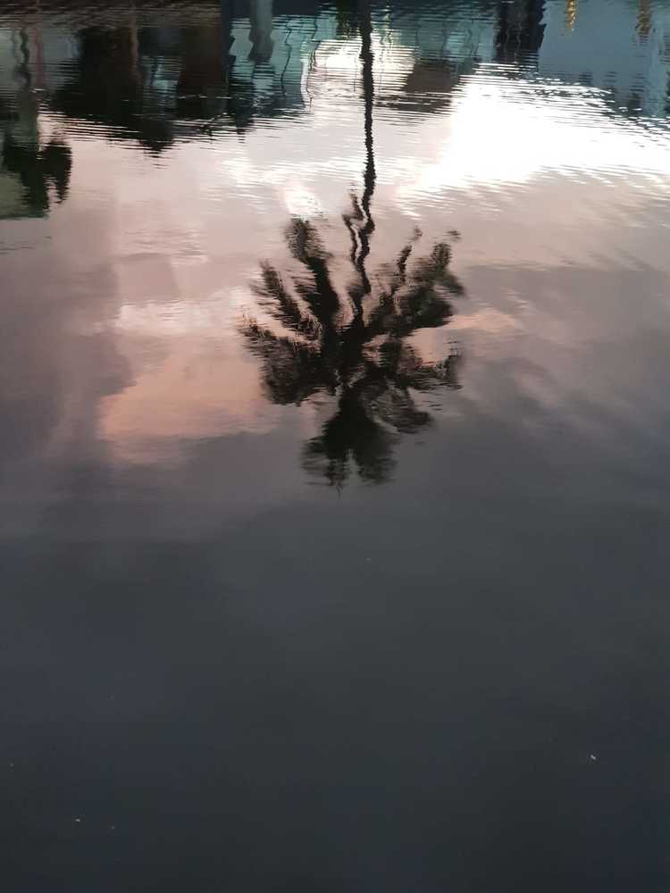 de las photoacuarelas