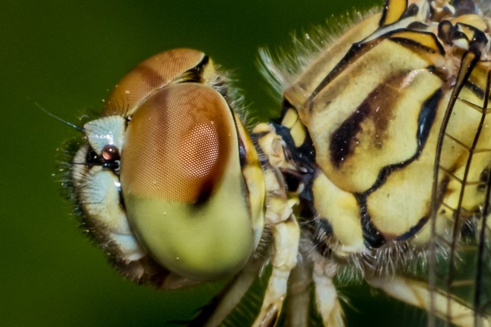 Photograph by Zinda Shaik Mohideen M