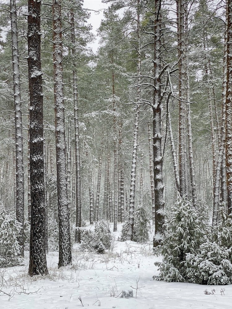 Photograph by александр лялин