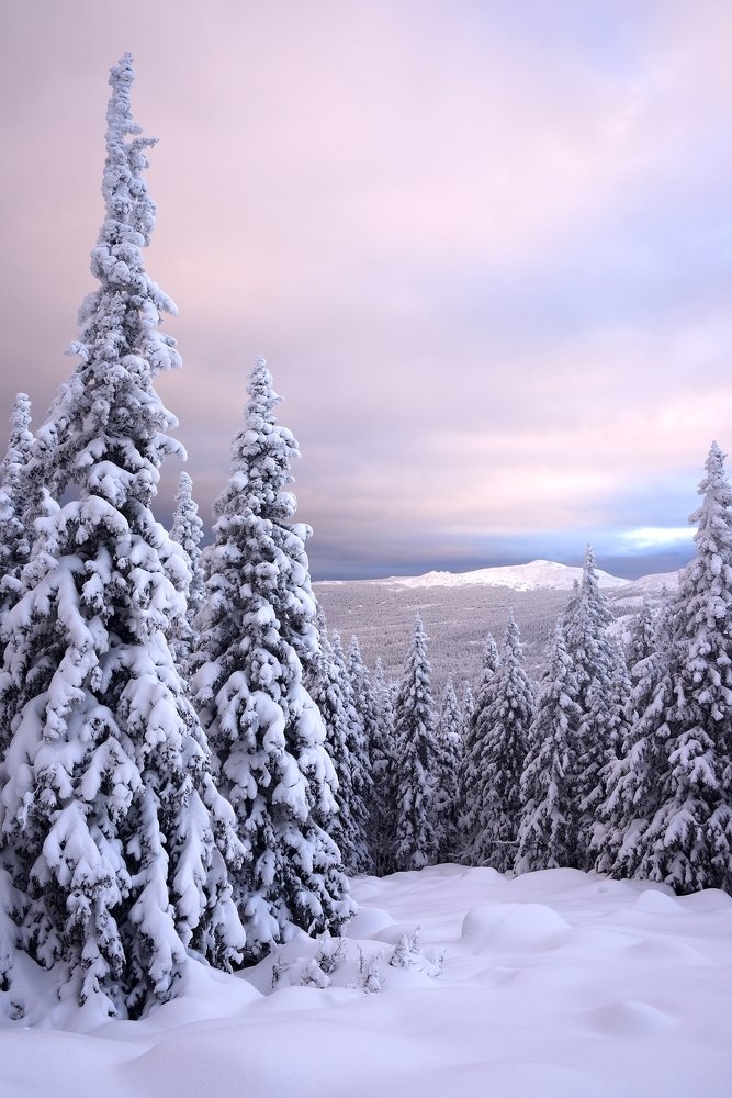 Photograph by Павел Фёдоров