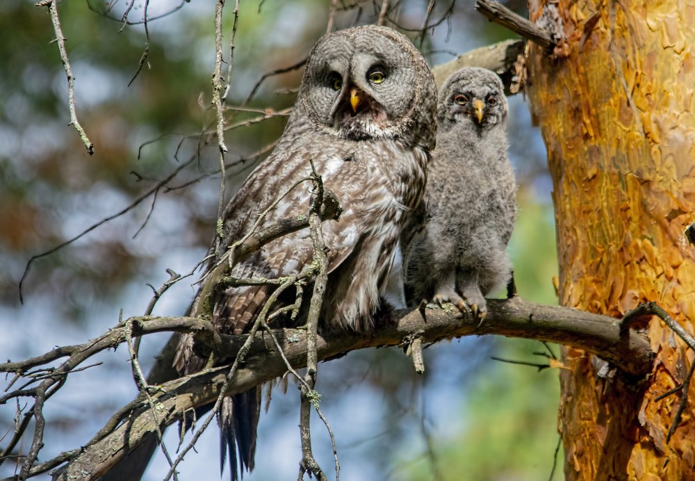 Июньский полдень
