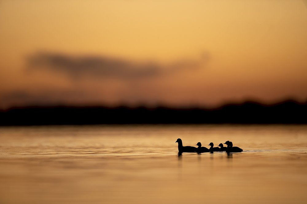 Photograph by Esteban Argerich