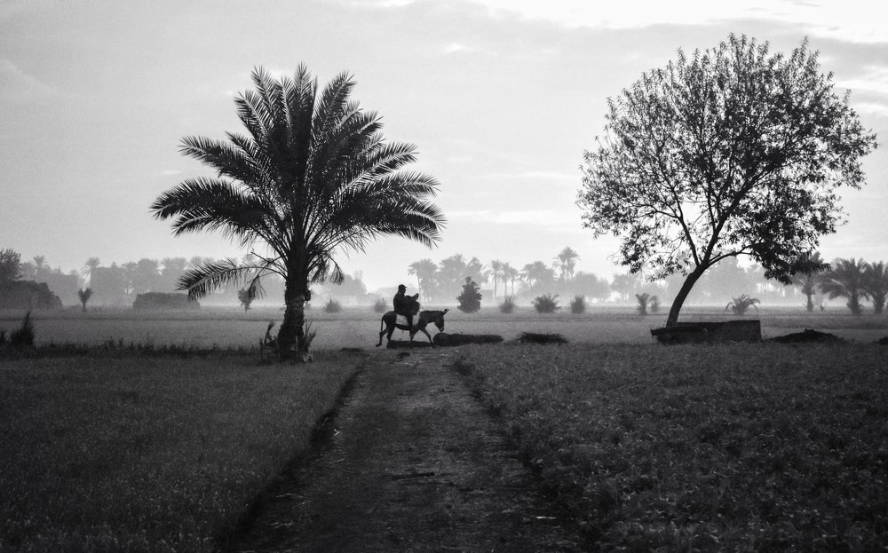 Photograph by Mohamed Elsheikh