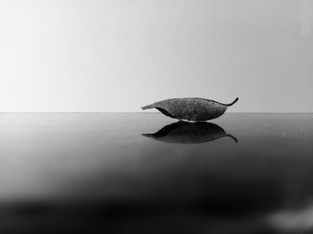 Photograph by Sona ..