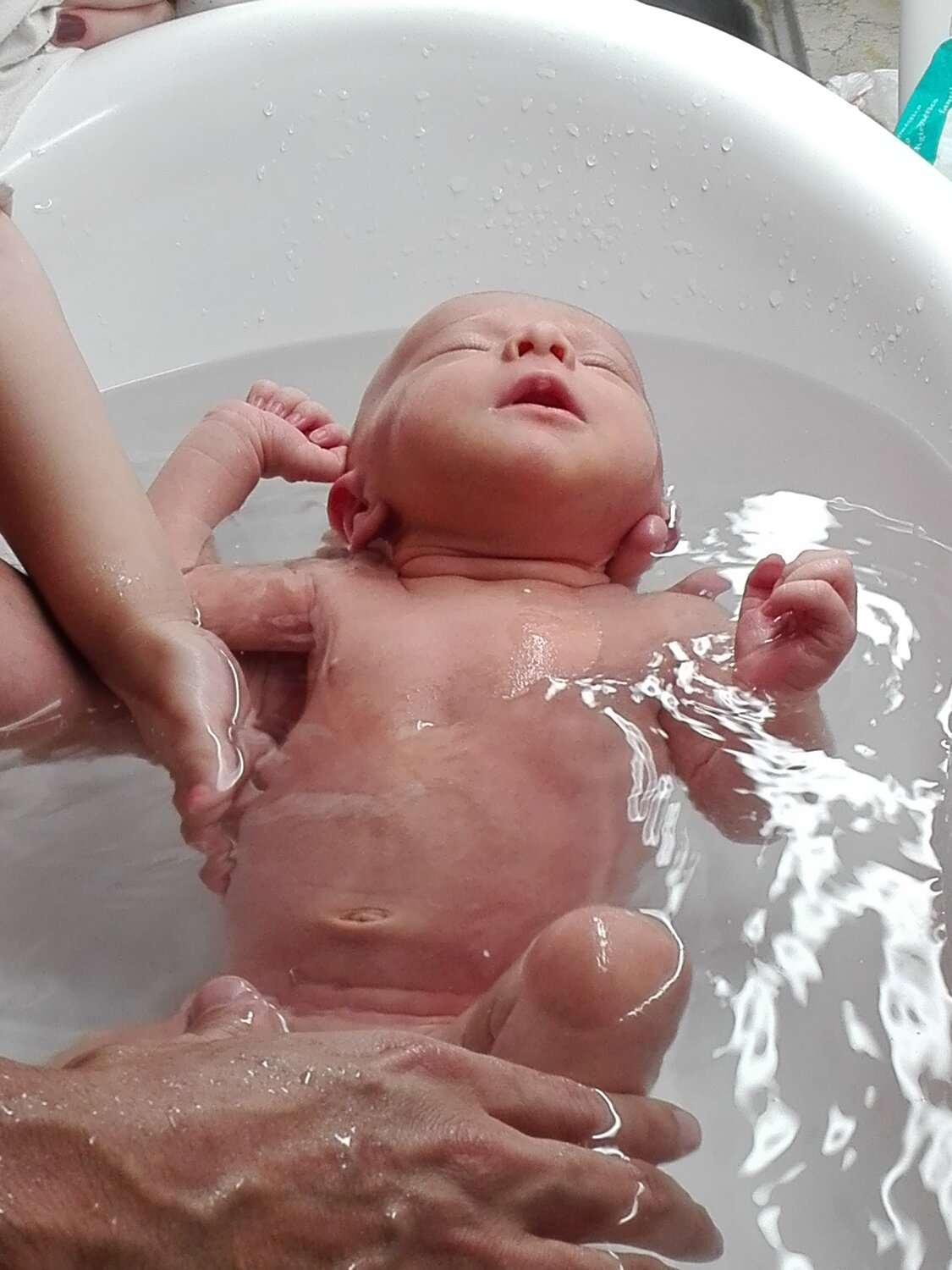 Photo #4434960