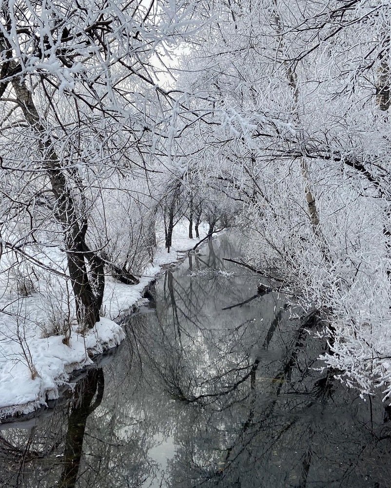 Photograph by Гаврилов Александр