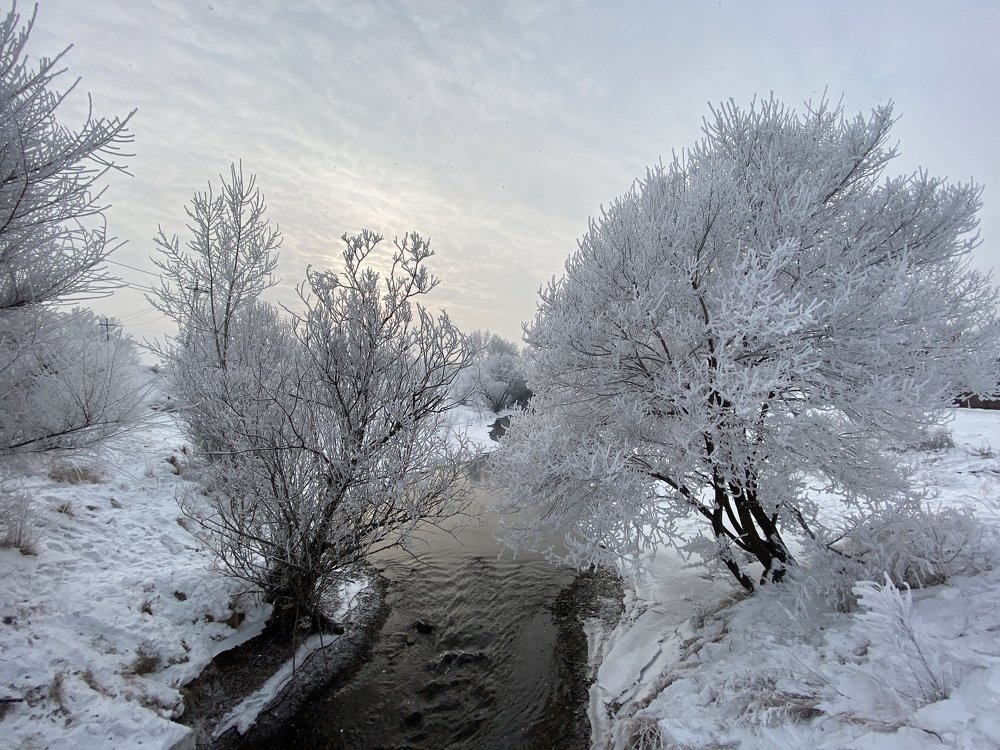 Photograph by Гаврилов Александр