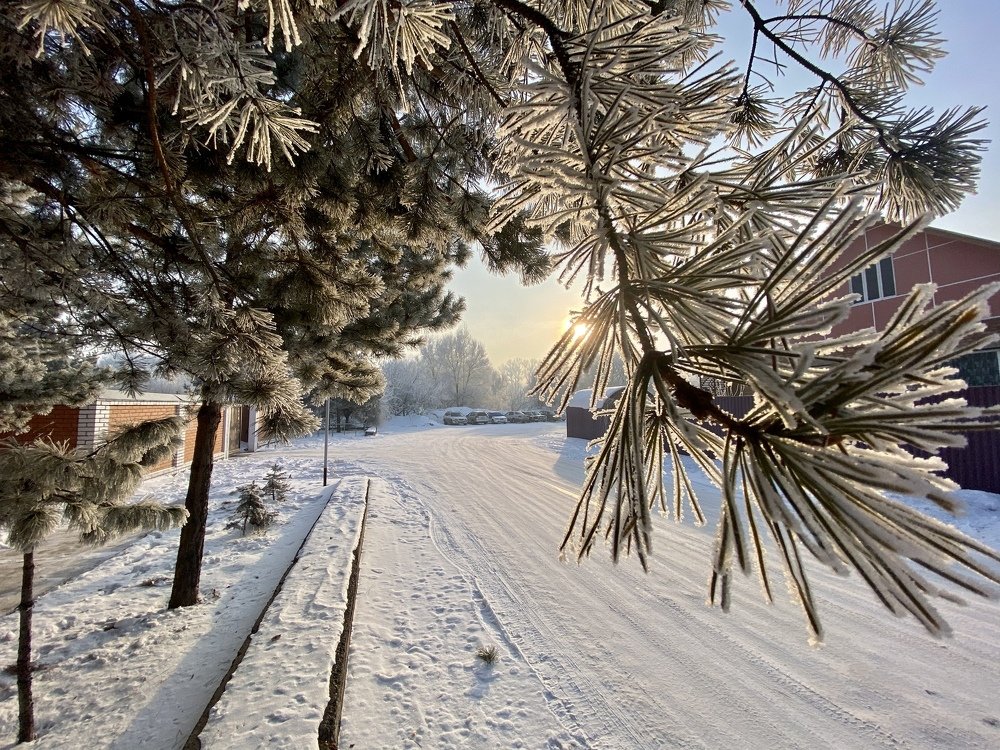 Photograph by Гаврилов Александр