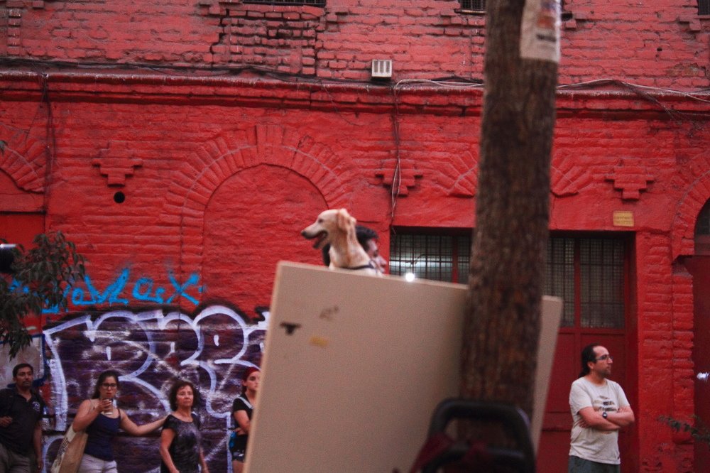 Retomando las calles