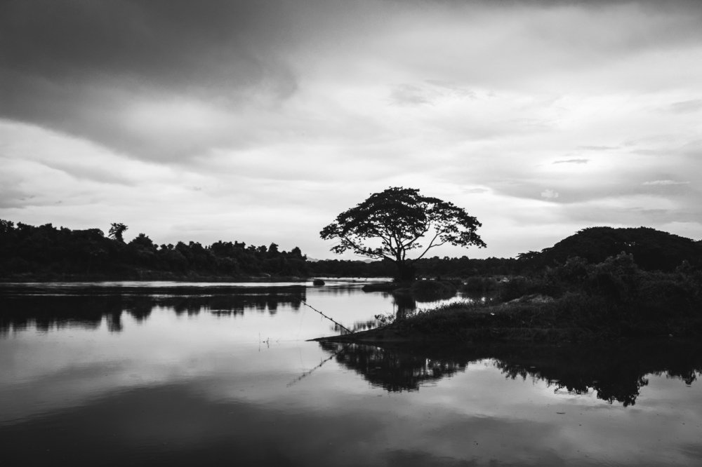 Photograph by Seethal Jose Anu