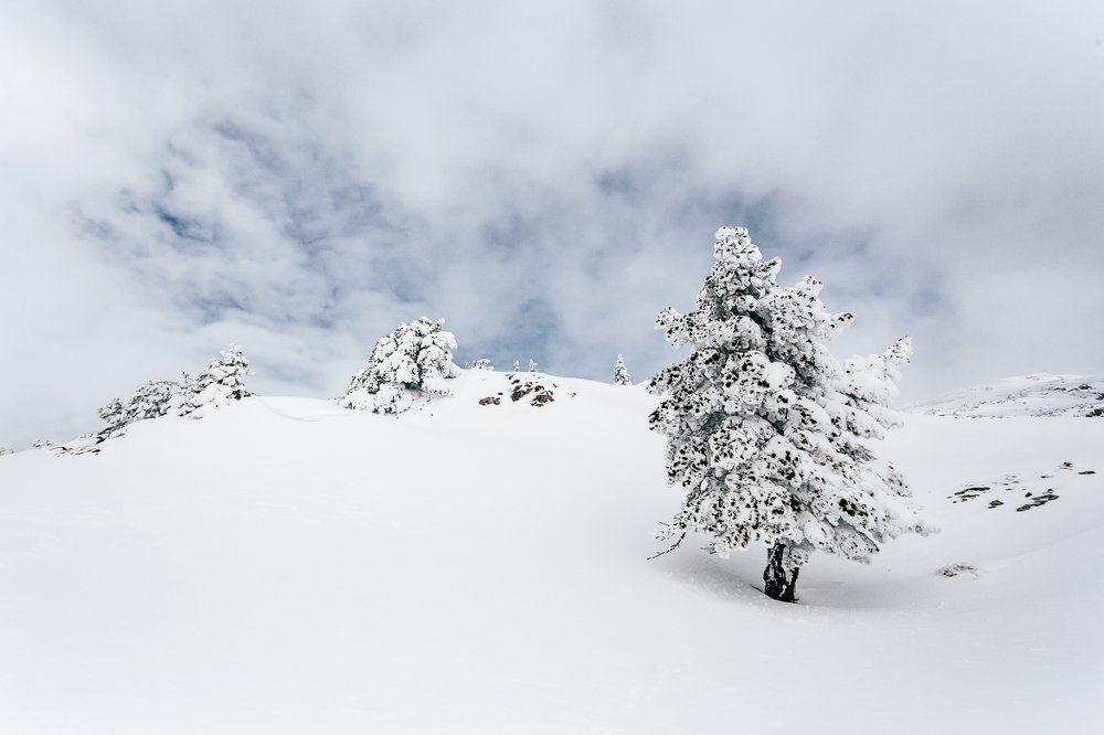 Photograph by Константин Аношин