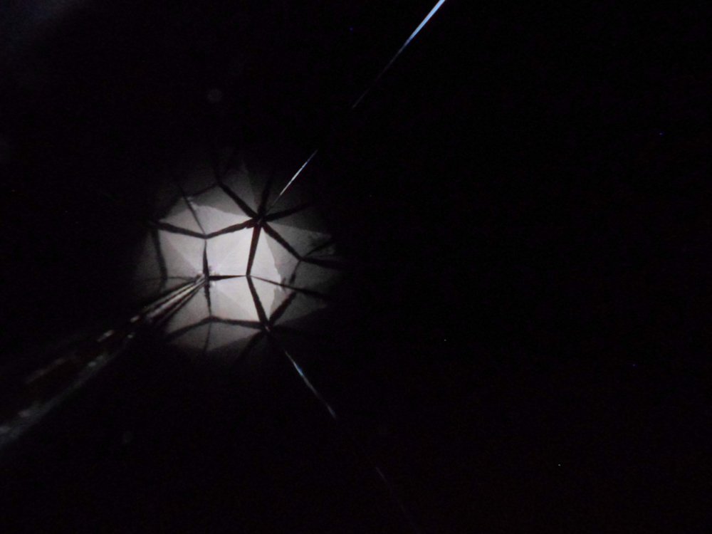 Photograph by Полина Родюкова