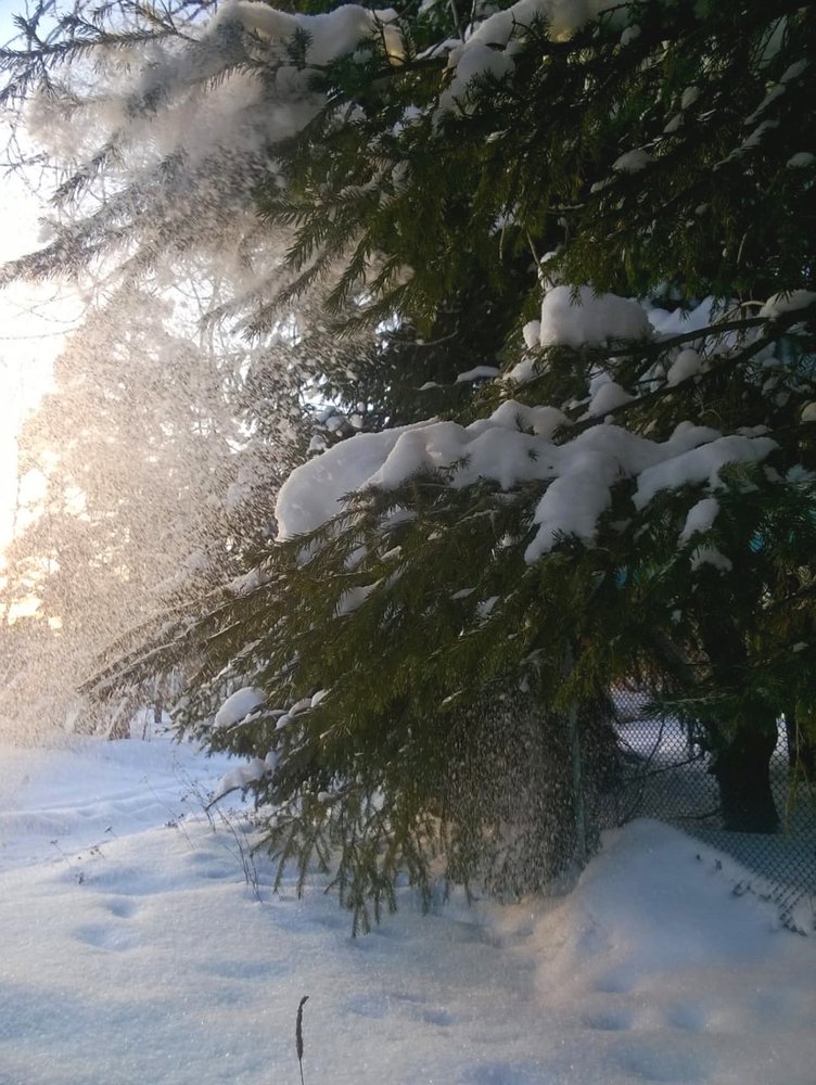 Photograph by Полина Родюкова