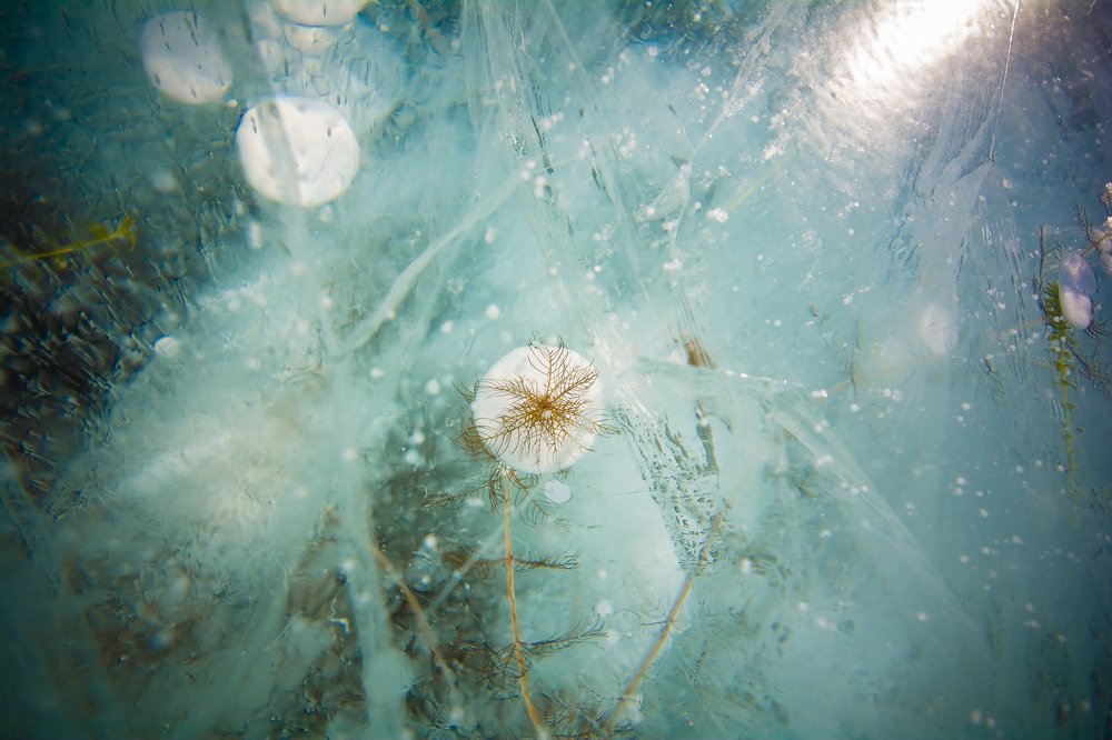 Photograph by Елена Копылова