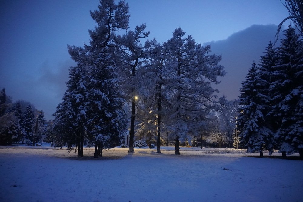 Photograph by Елена Никонова