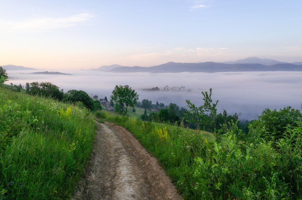 Photograph by Андрей Облаухов