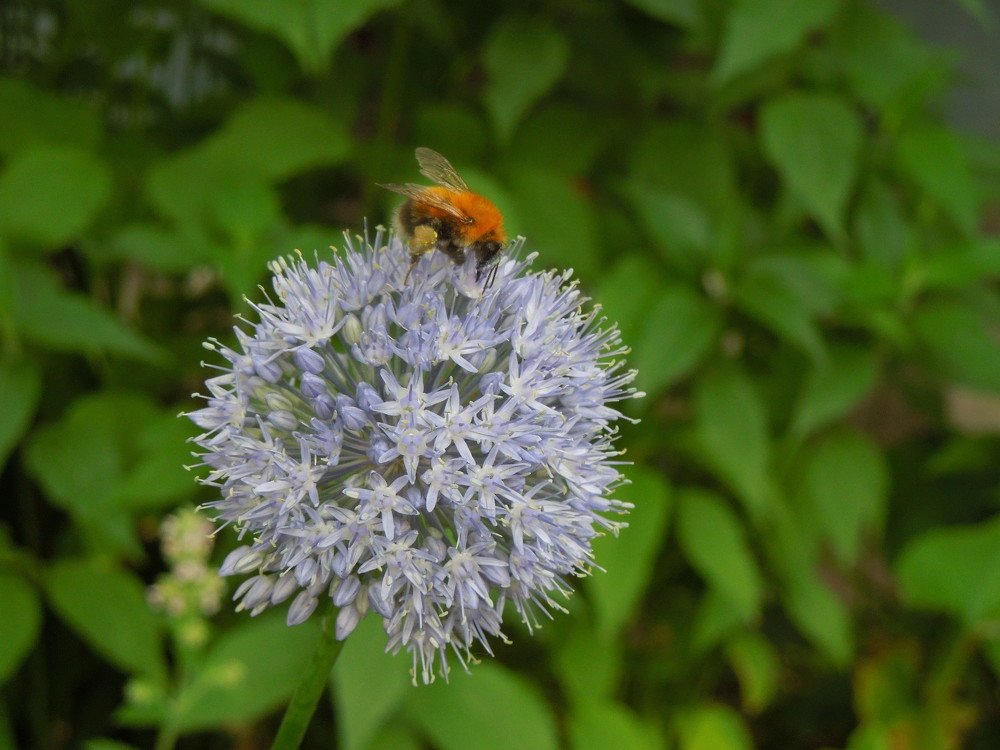 Photograph by Елена Болтенкова