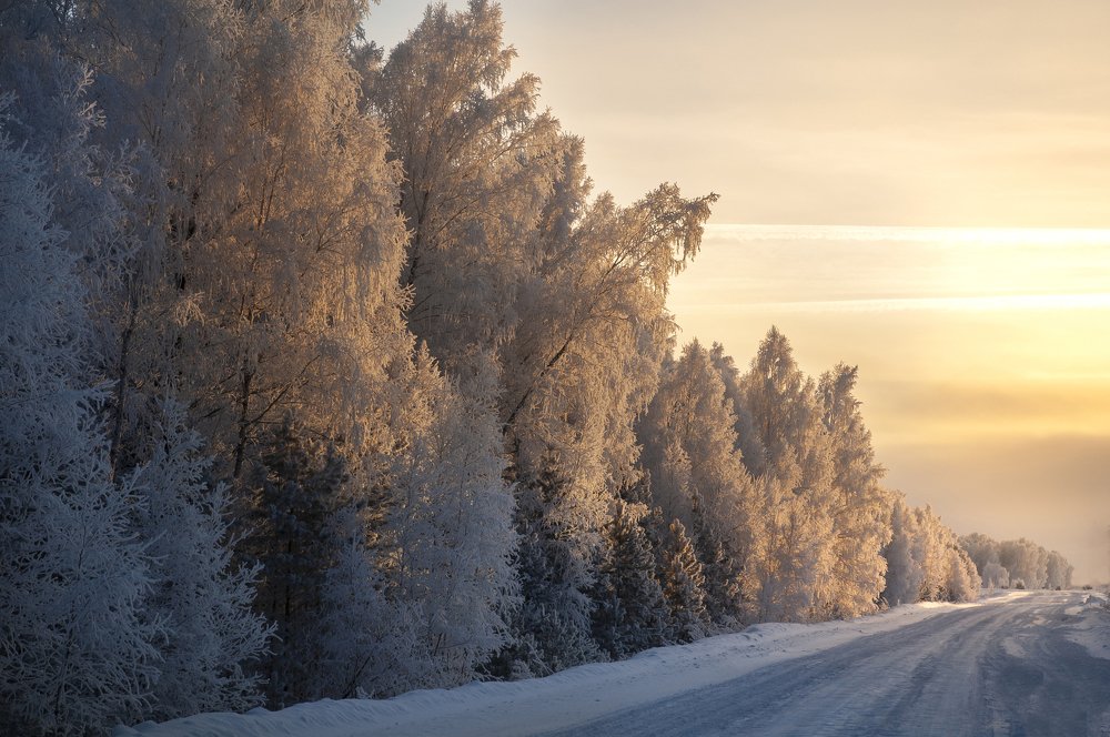 Photograph by Andrey