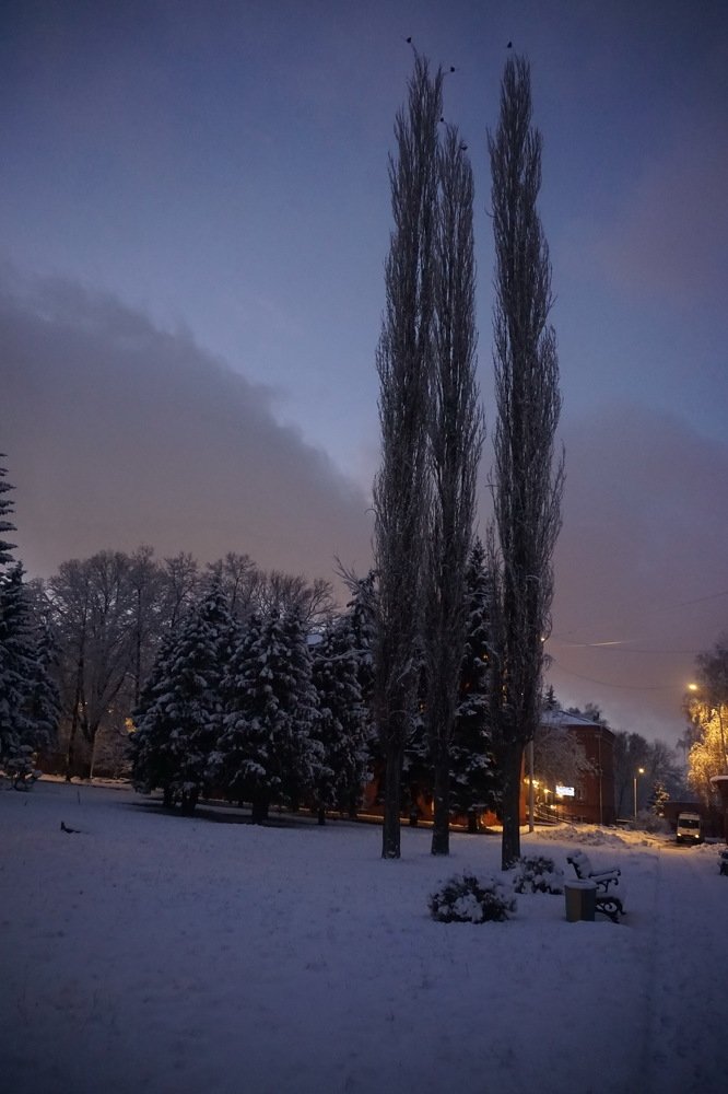 Photograph by Елена Никонова