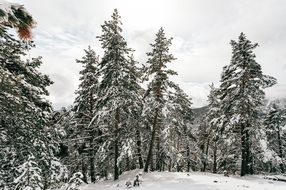 Photograph by Константин Аношин