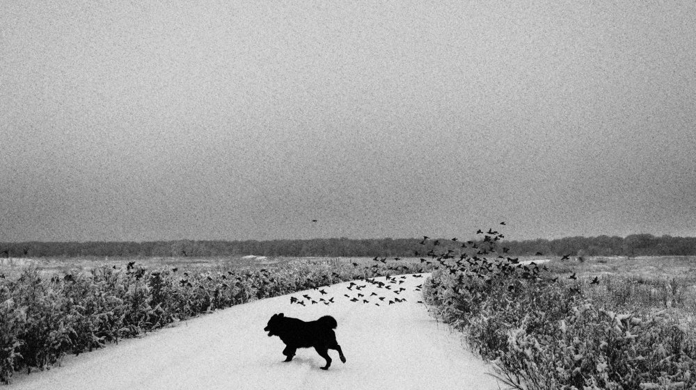 Photograph by Александр Бычков