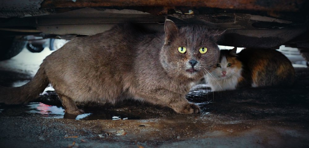 Photograph by Андрей