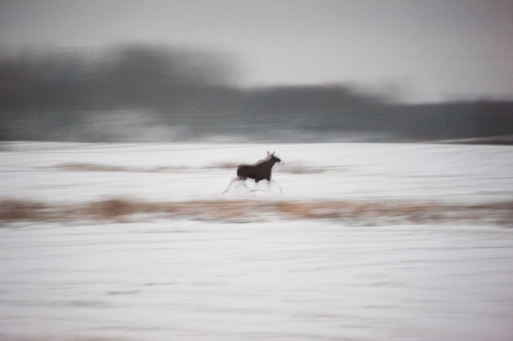 Photograph by Яроцкий Михаил