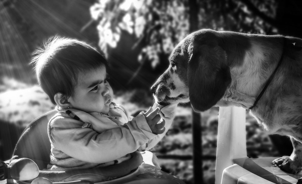 Una mirada dice más que mil palabras...