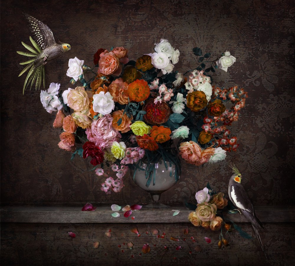 Photograph by Елена Шичко