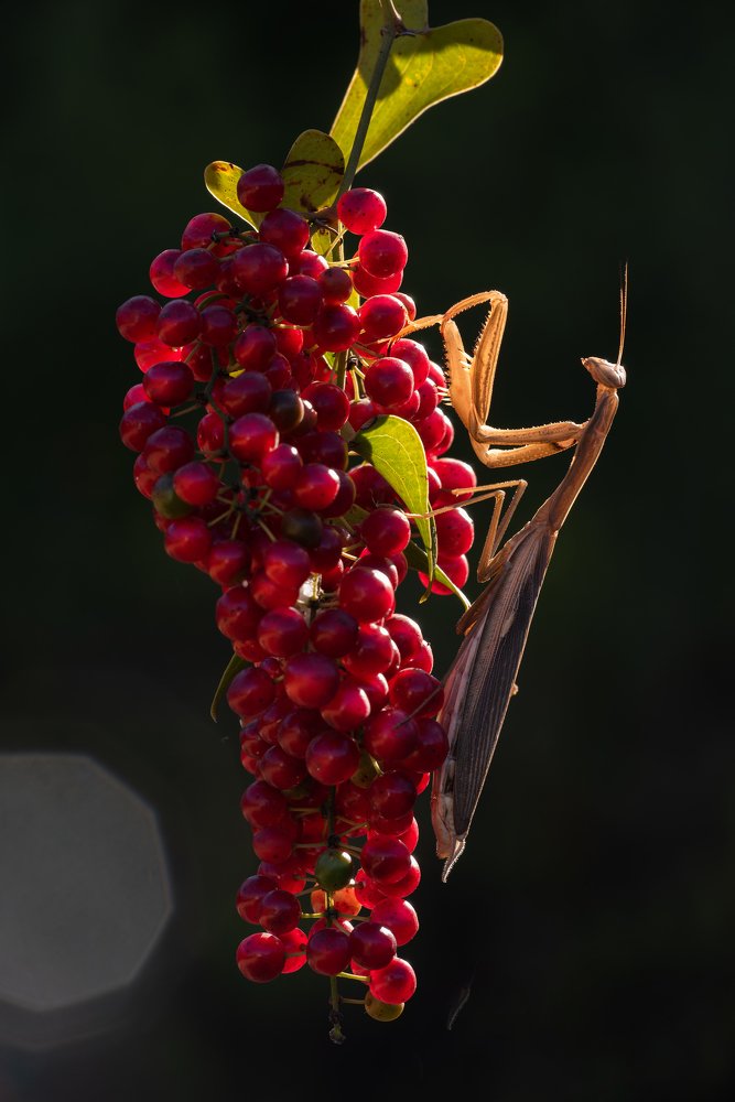 Photograph by Игорь ФУММ
